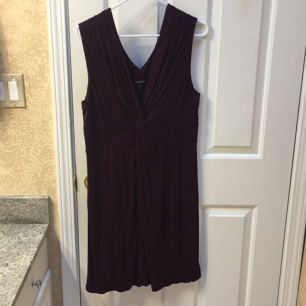 Express Purple Dress